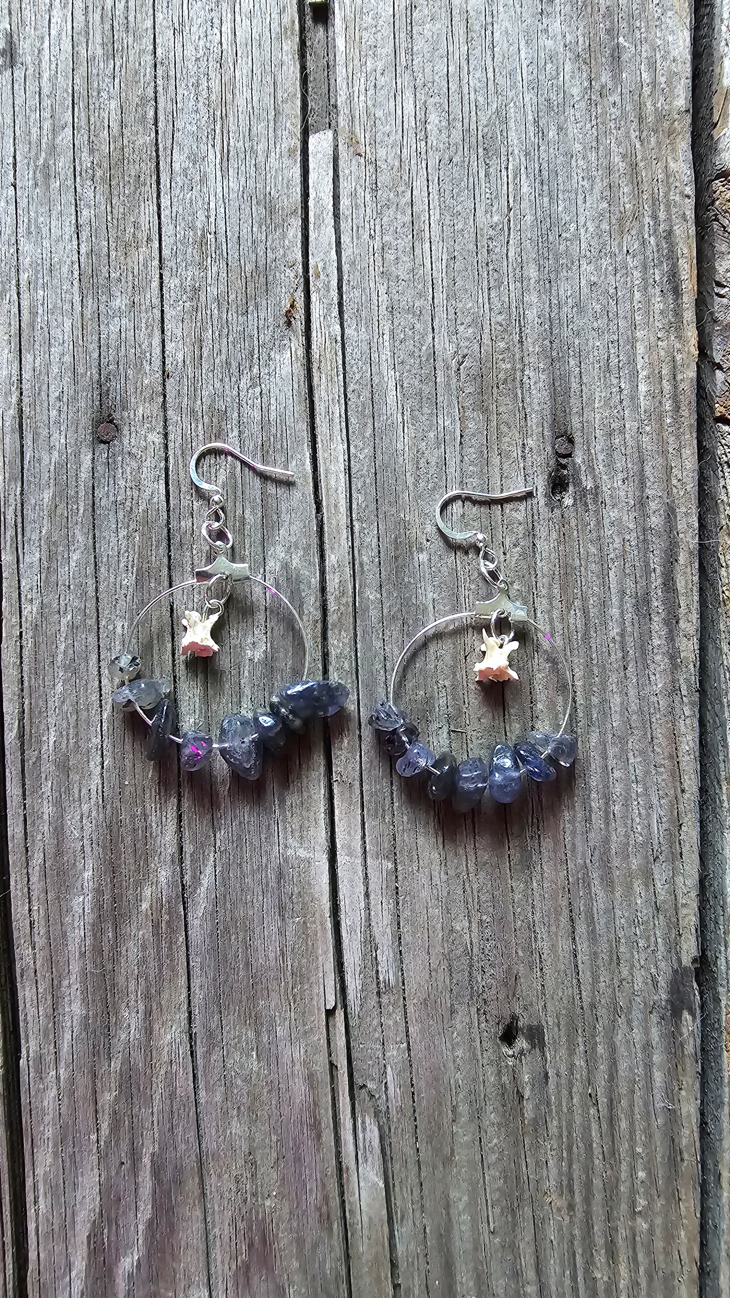 Iolite and Rattlesnake vertebrae