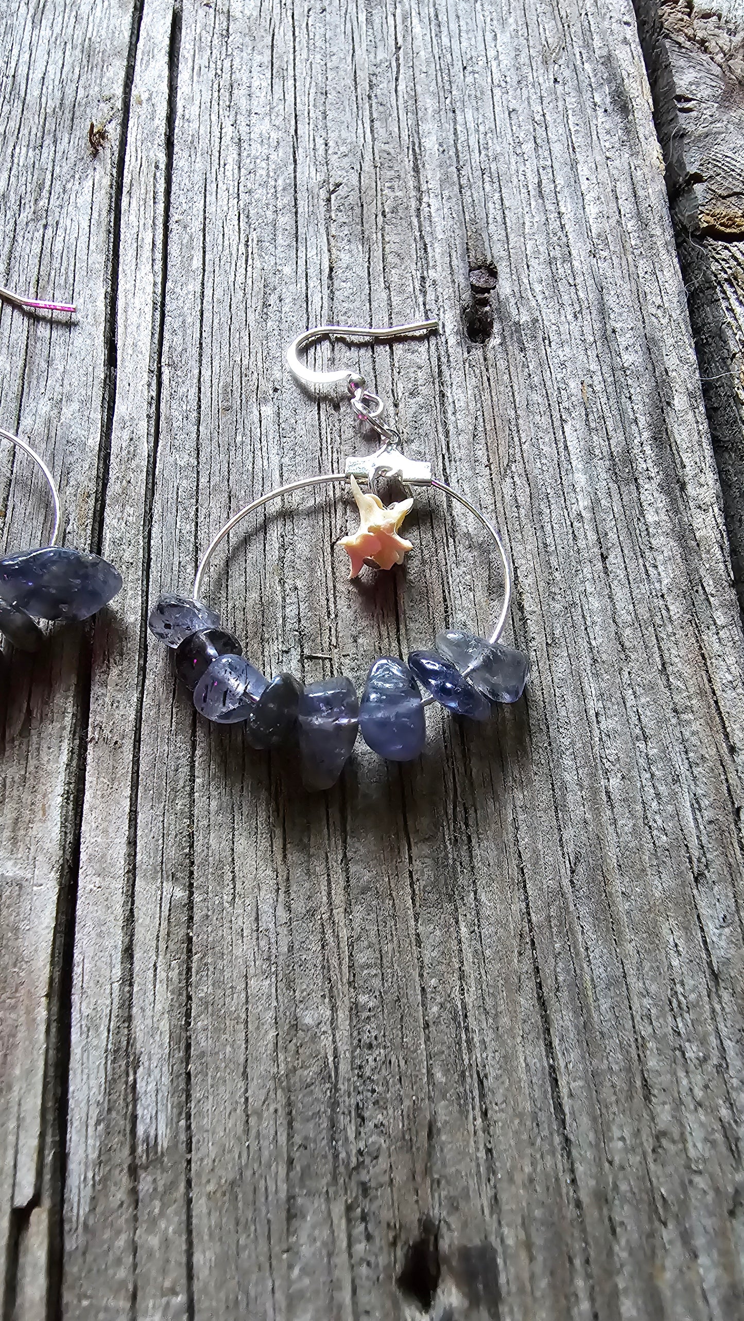 Iolite and Rattlesnake vertebrae