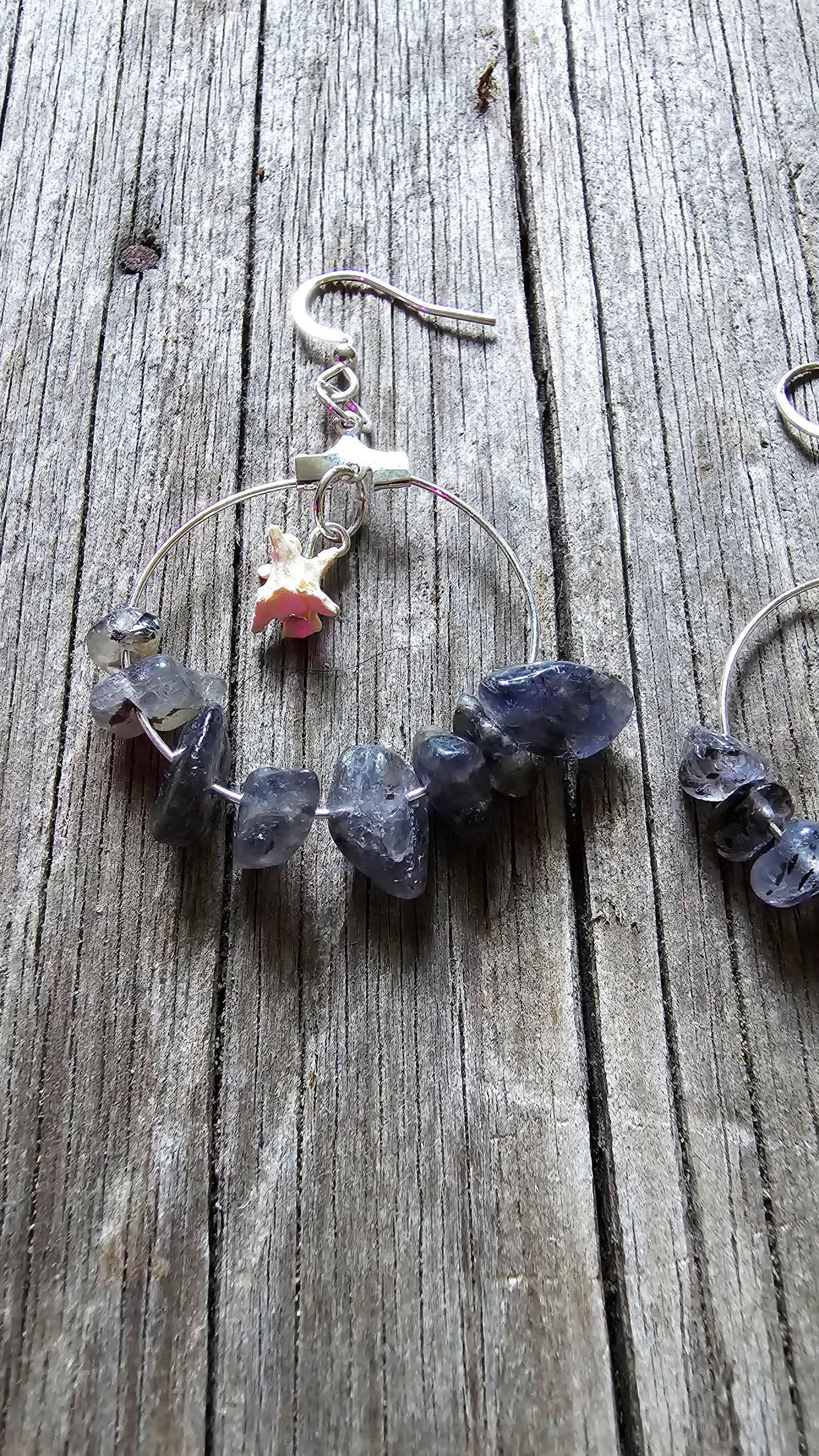 Iolite and Rattlesnake vertebrae